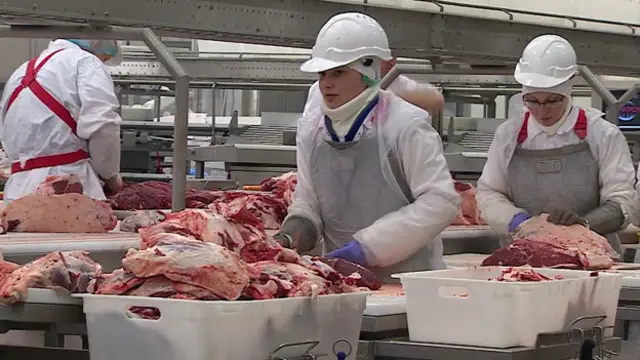 سال گذشته گاوداری میراتورگ روزانه ۱۰۰ راس گاو به بازار عرضه می کرد ولی امیدوار است در سال آینده این رقم را به ۱۰۰۰ راس افزایش دهد