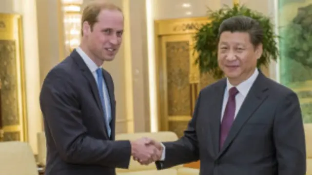 威廉王子与习近平会面