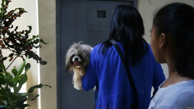 Pengunjung membawa anjing