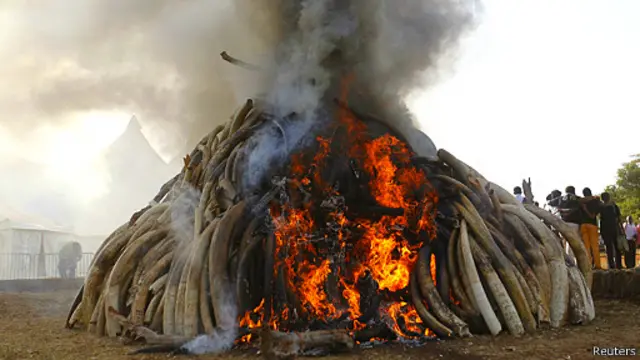 肯尼亞總統還表示，這堆熊熊烈火顯示肯尼亞決心鏟除偷獵活動。