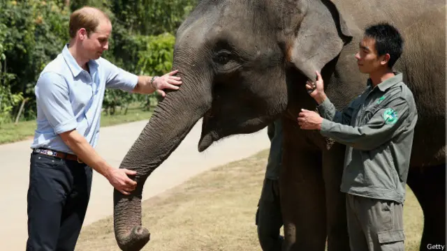 今年早些时候，威廉王子曾经访问中国云南西双版纳的一个野生大象栖息地。