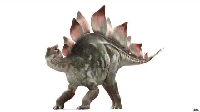 Stegosaurus