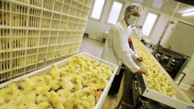 Segundo Batista, empresa tem 120 mil funcionários no Brasil e 70 mil nos EUA