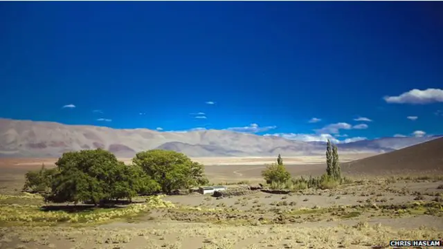 Будинок Дона Роберто Плака