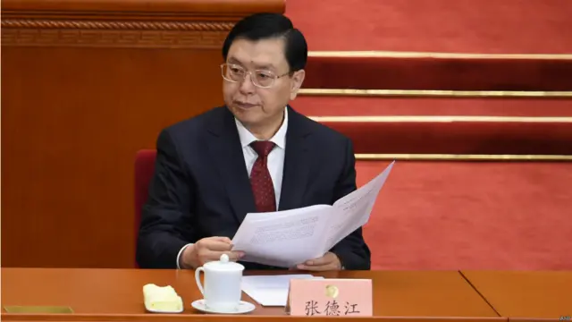 中国全国人大委员长张德江