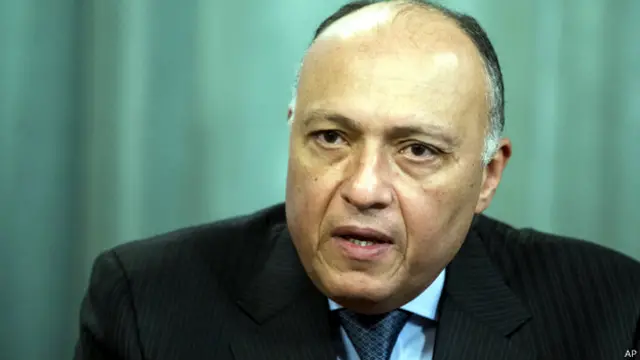 وزير الخارجية المصري سامح شكري