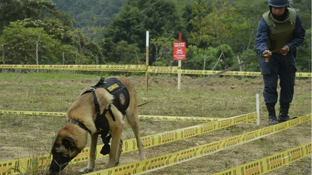 Las minas han causado más de 11.000 víctimas en Colombia.
