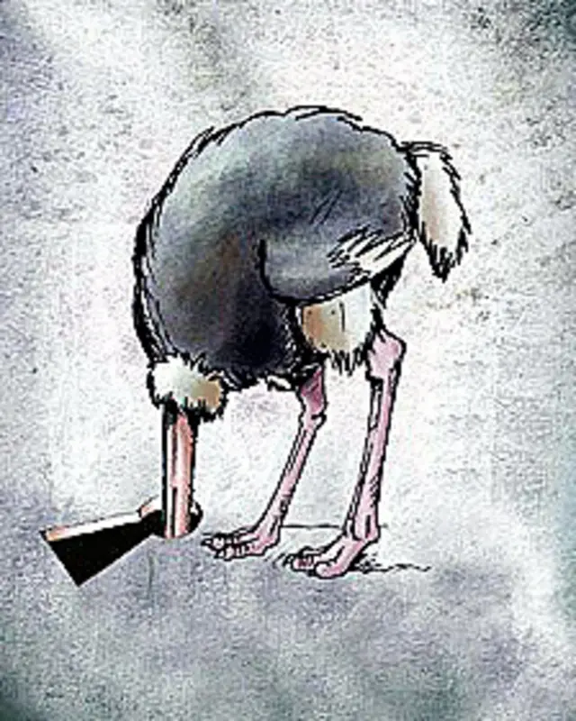 کارتون حمید صوفی، بی قانون