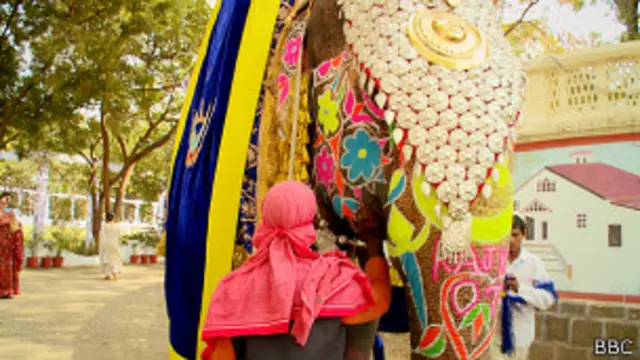 शाही शादी