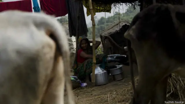 महिला, मुर्शिदाबाद, पश्चिम बंगाल, भारत