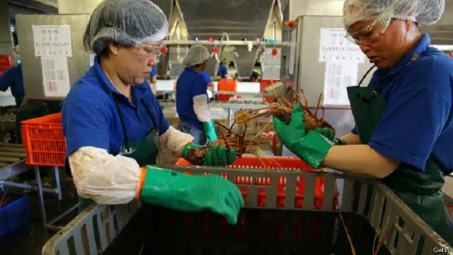 يهدد اتساع الفائض التجاري إلى مستويات أعلى بعودة التوترات بين الصين والولايات المتحدة