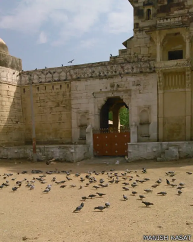 कबूतर भारत