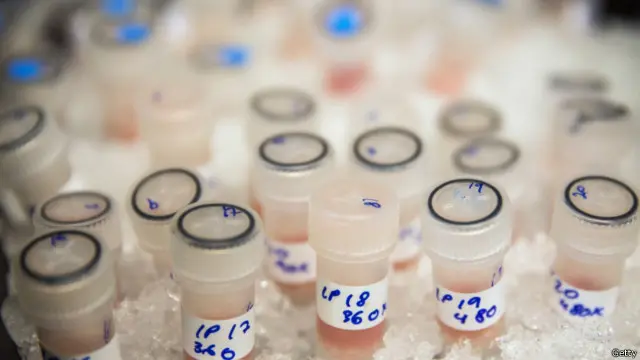 Penciuman anjing sedang dikembangkan untuk membantu mengenali contoh air seni penderita kanker.