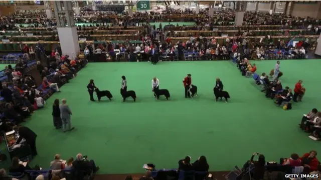 На выставке "Крафтс"