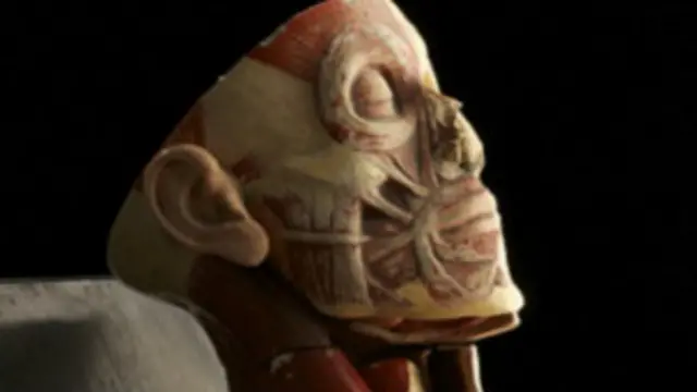 वेलकम इमेज अवार्ड 