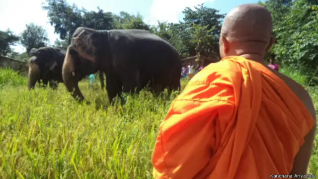 ग़रीब किसान ने किया हाथियों के लिए धान के खेत का दान