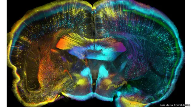 Foto de Luis de la Torre-Ubieta