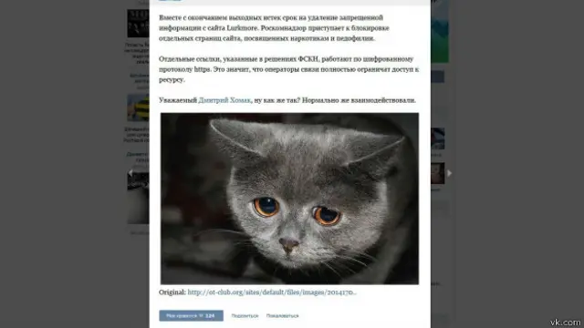 Кошачий Роскомнадзор