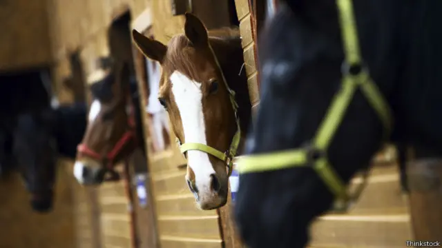 گھوڑوں کے نام چارلس ڈكنز کے ناولوں کے کرداروں پر رکھ دیے گئے