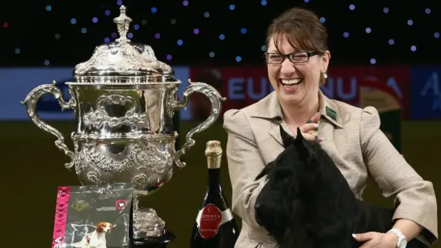 Knopa, ganador de Crufts 2015
