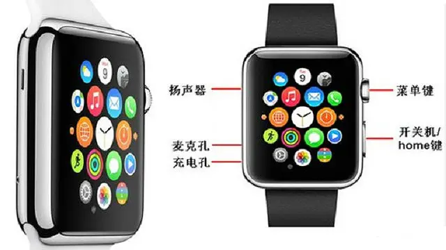 ان گھڑیوں کے بارے میں مزید معلومات پڑھنے سے معلوم چلتا ہے کہ یہ گھڑیاں ایپل کے آپریٹنگ سسٹم پر نہیں بلکہ گوگل کے اینڈروئڈ سسٹم پر چلتی ہیں