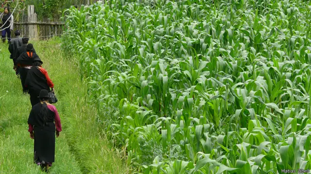 Los novios saludan a los cuatro puntos cardinales.