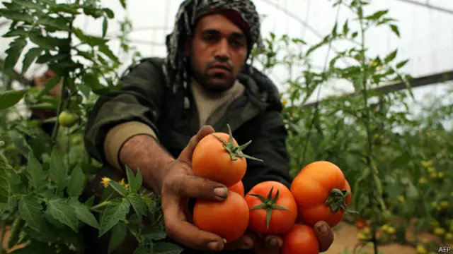 رحب الفلسطينيون بالخطوة الاسرائيلية الأخيرة