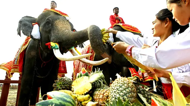 Hari gajah di Thailand