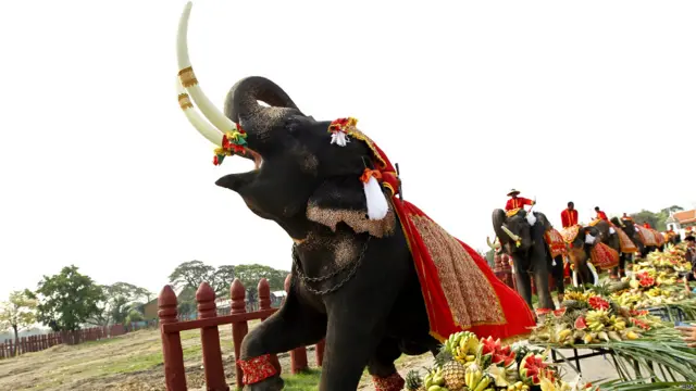 Hari gajah di Thailand