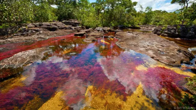 Sông Cano Cristales, Colombia. Trong một thời gian ngắn từ tháng Chín đến tháng Mười Một hàng năm, nước sông đổi từ trong veo thông thường sang rực rỡ sắc cầu vồng.  Các sắc đỏ, lam, lục và cam được tạo ra bởi một loài cây rất đặc biệt của địa phương, cây Macarenia Clavigera nở hoa trong nước, và các loại rêu, tảo khác. Sông này nằm ở vùng hẻo lánh của dãy núi Serranía de la Macarena. Nó đã bị đóng cửa cho đến giữa thời thập niên 2000 do phiến quân hoạt động trong khu vực.