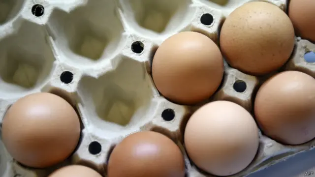 حکام کے مطابق انڈوں کی چوری سے حکومت کو ہزاروں ڈالر کا نقصان ہوا