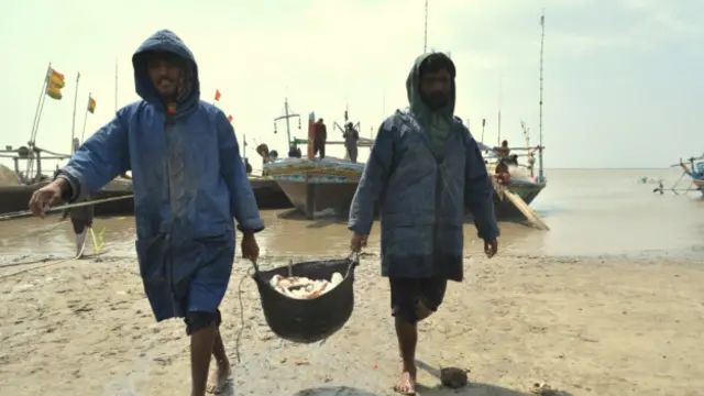 دریائے کا تازہ پانی سمندر میں نہ گرنے کی وجہ سے ماہی گیری بھی متاثر ہوئی ہے۔