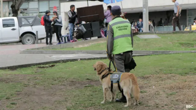 Vigilante con perro