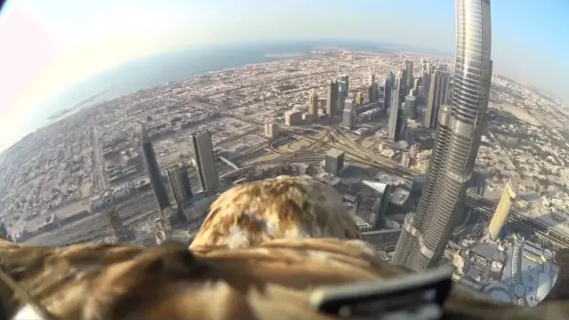 درشن کی پشت پر نصب کیمرے کا وزن 300 گرام تھا