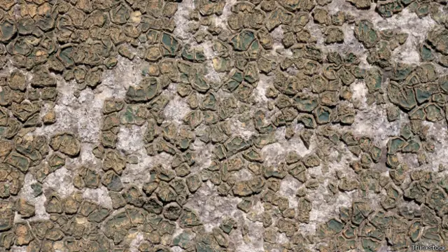 "ایران از اولین کشور هایی است که در جنوب شرقی خود با مسئله آوارگان آب مواجه شده است"