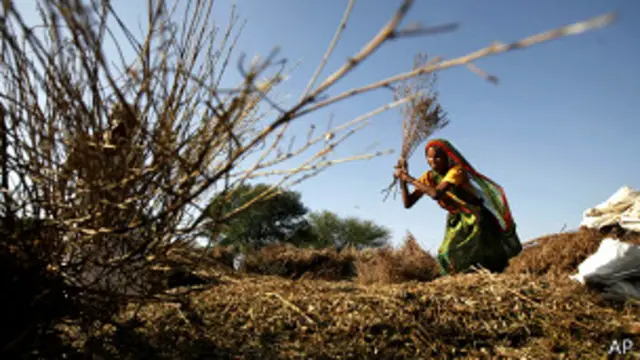 खेती किसान