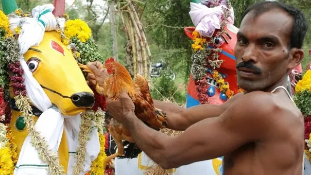 तमिलनाडु के अय्यनार के देवताओं, टेराकोटा मूर्तियों की निर्माण प्रक्रिया और कुम्हारों के जीवन पर केंद्रित फ़ोटोग्राफ़र जूली वेन की फ़ोटोग्राफ़ी. 