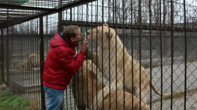 Олег Зубков с нежностью относится к своим питомцам, среди которых более 60 львов