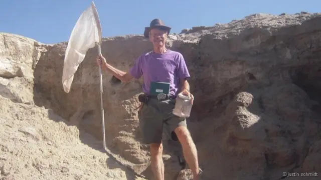 O americano Justin Schmidt já foi picado mais de mil vezes por 150 espécies diferentes