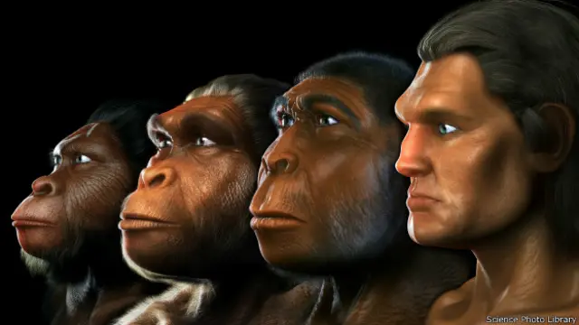15 cambios que nos hicieron humanos - BBC News Mundo