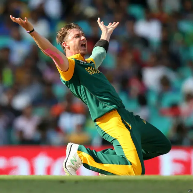 ڈیل سٹین نے میچ کے ابتدائی اوورز میں تیز بولنگ کی اور تلکارتنے دلشان کی اہم وکٹ لی۔