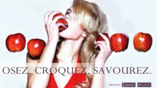 فرانس کے قانون کے مطابق اس طرح کی حوصلہ افزائی کو شادی کے قانون کی خلاف ورزی سمجھا جاتا ہے