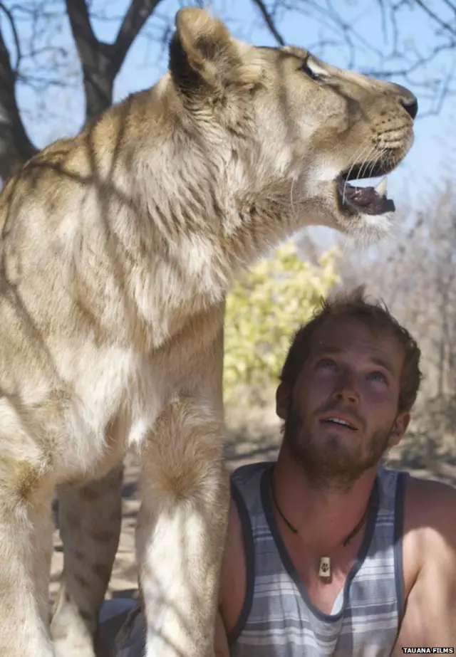 Credito: Tauana Films