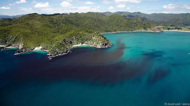 Следы водорослей в зеленой воде
