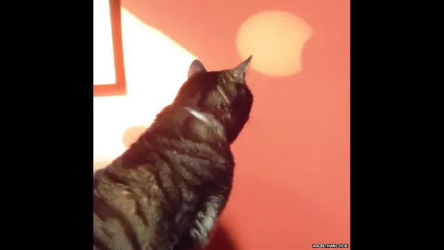 Солнечное затмение