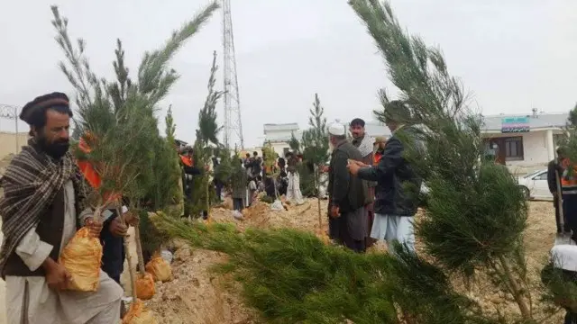 د نيالګيو ايښودلو دغه ميله په ګردیز ښار کې د ولايت ودانۍ ترڅنګ د ولايتي شورا دفتر مخې ته په يوې غونډۍ کې د نيالګيو کينولو څخه پیل شوه