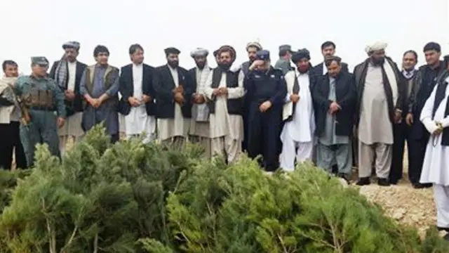 پکتيا کې د نوي کال ورځ پر يوې غونډۍ باندې د نيالګيو ايښودلو سره پیل شوه