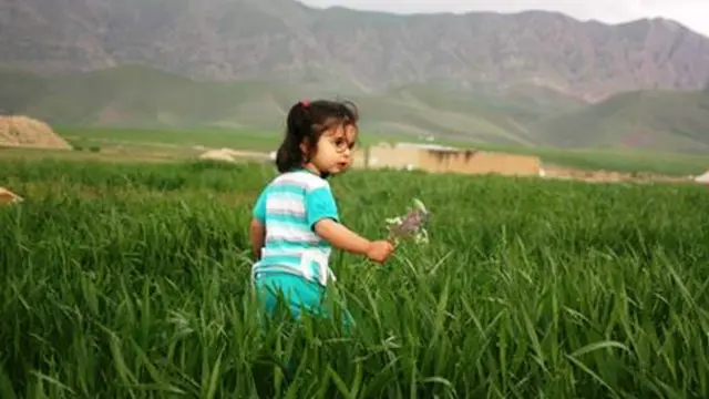 په هرات کې نوروز د ځینو نورو ولایتونو په پرتله ډیر په مینه لمانځل کېږي