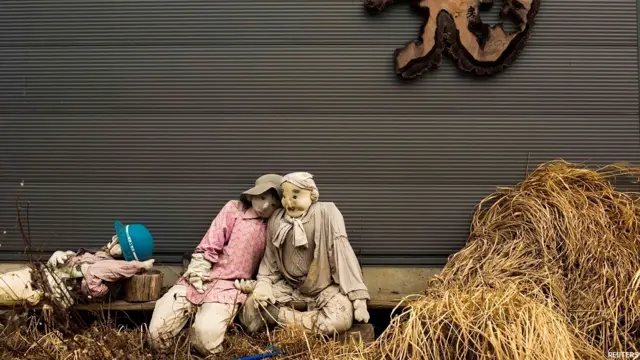 काक भगौड़ा, हौआ, जापान, नागोरो गांव, शिकोकु द्वीप