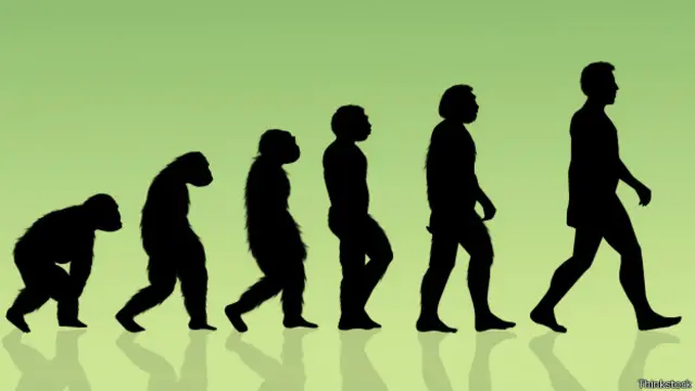 Модель эволюции